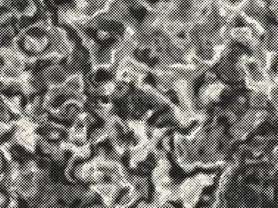 Halftone generator example: Riso Halftone, Newsprint preset