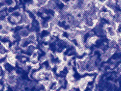 Halftone generator example: Riso Halftone, Pink/blue riso preset