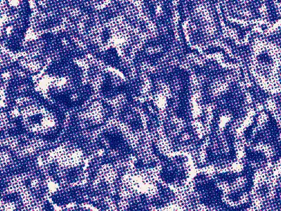 Halftone generator example: Riso Halftone, seed 1207