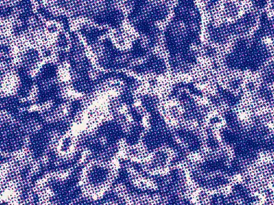 Halftone generator example: Riso Halftone, seed 58311